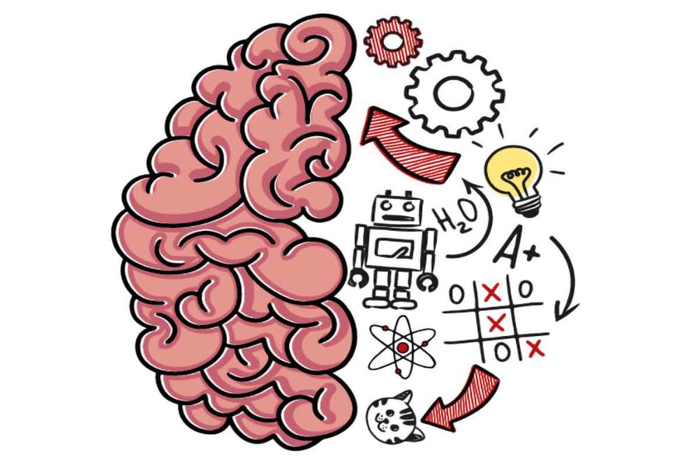 Brain-Test
