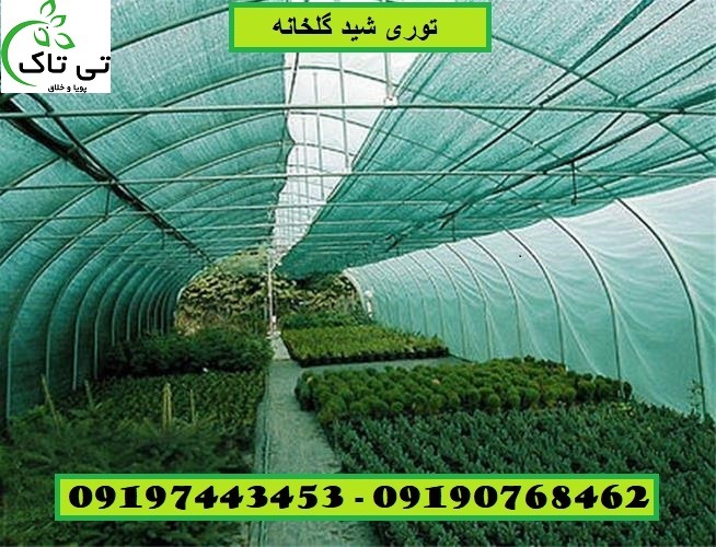 I800X500_092268546585 - Copy