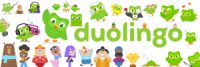 کلاس فوری و حرفه ای آنلاین آمادگی آزمون دولینگو Duolingo