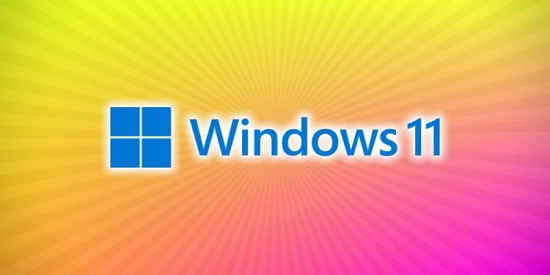 Windows 11 (19)