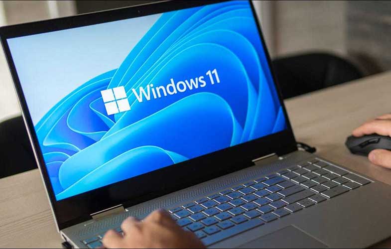 Windows 11 (11)