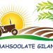 فروشگاه اینترنتی محصولات محلی گیلان