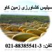 فروش سیلیس – مزیت های استفاده از سیلیس کشاورزی زمین کاو