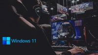 Windows 11 (12)
