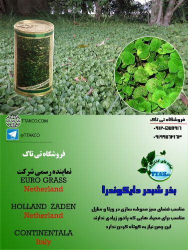 بذرچمن