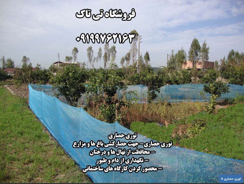 توری شید۵