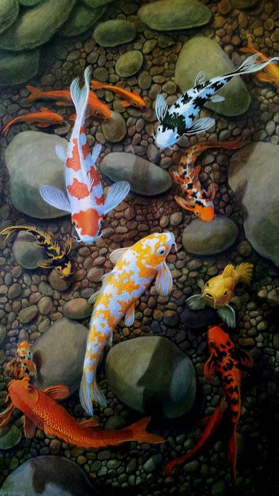Wallpaper Koi Fish - iXpap
