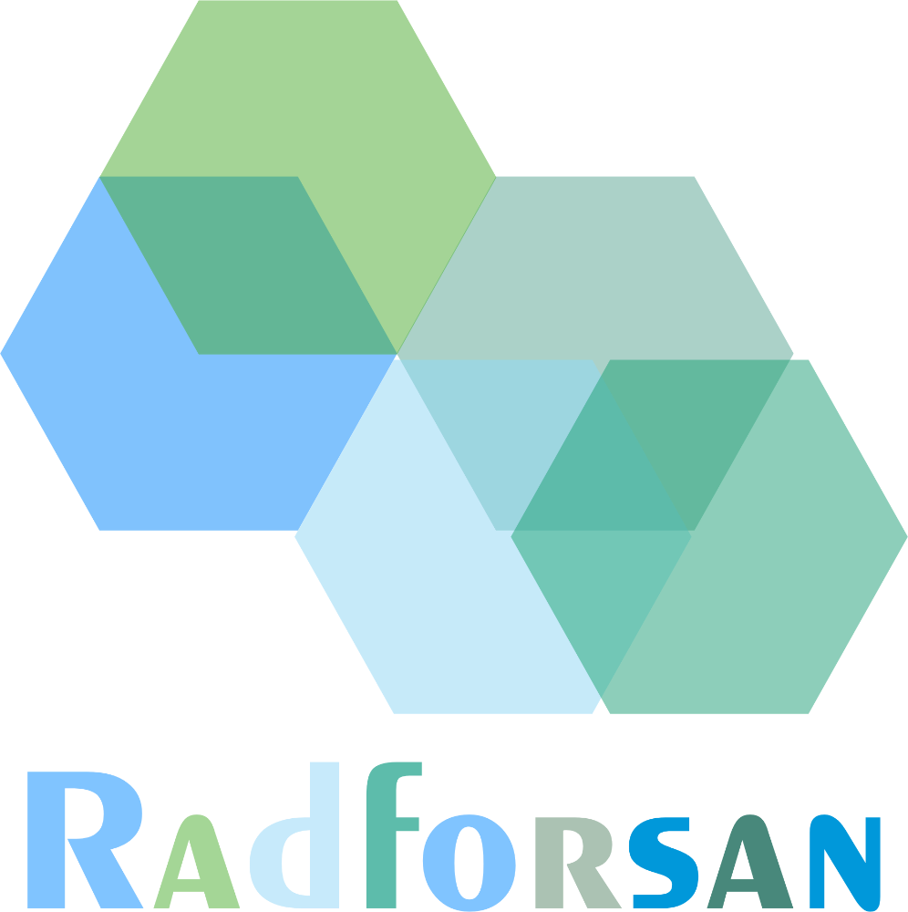 Logo Raforsan ( Orginal )