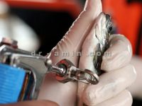 واکسیناسیون-آبزیان-720x540