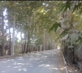 360م کردان جنوبی ، سندتک برگ