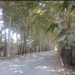360م کردان جنوبی ، سندتک برگ