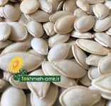 بذرکدو گوشتی شهرستان خوی