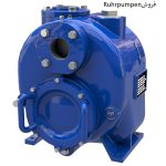 تامین کننده انواع پمپ صنعتی نمایندگی Ruhrpumpen