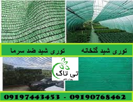 توری شید98