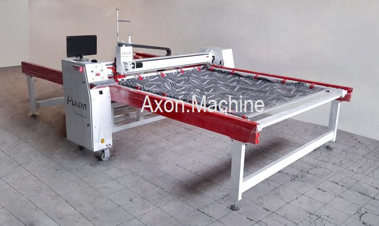 single axon