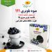 خرید میوه خشک بلوبری