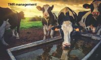 فروش سیستم مدیریت و تغذیه خوراک دام TMR برای افزایش تولید شیر گاو