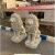 فروش عمده مجسمه شیر باغی