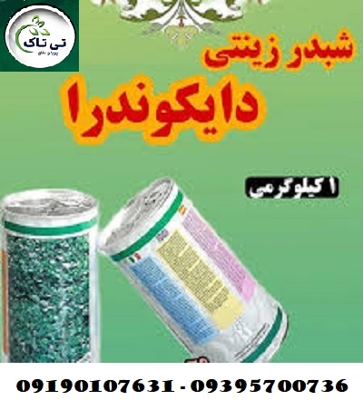 شبدر زینتی