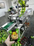 فروش دستگاه های بسته بندی پیلوپک(بالشی) پیروزپک