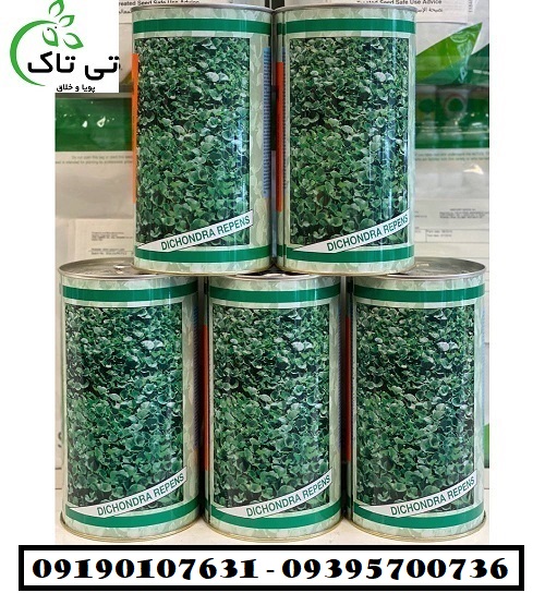 بذر شبدر زینتی7 - Copy