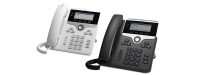 CP-7821-K9_Appearance