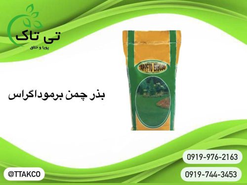 IMG-20230705-WA0008
