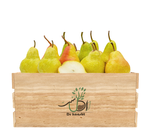 خرید-نهال-گلابی-دم-کج