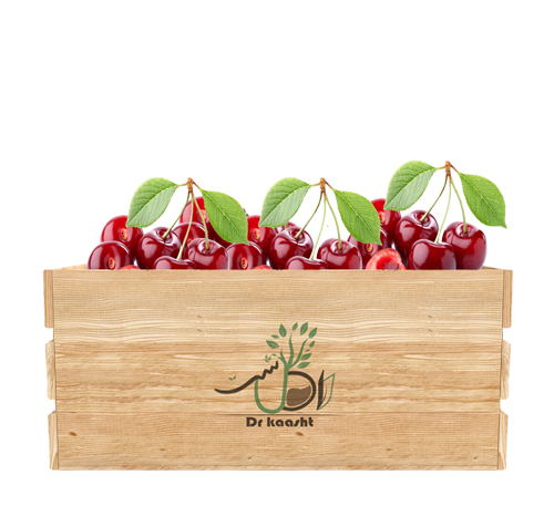 خرید-نهال-آلبالو-مورلو