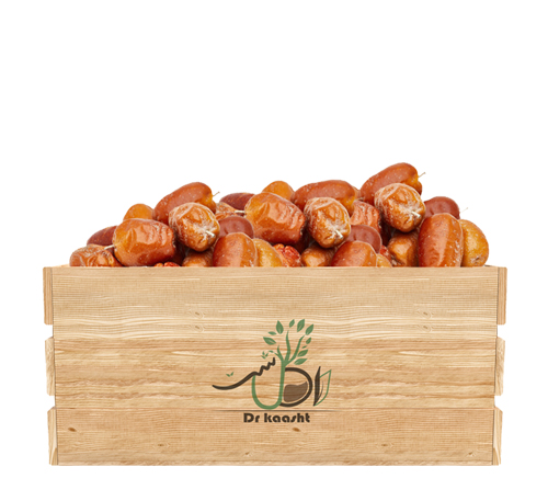 خرید-نهال-سنجد-محلی