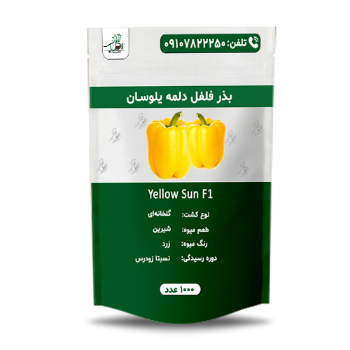 Yellow-Sun-F1