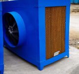 Untitled_Panorama-1