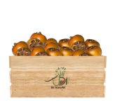 ازگیل-پیوندی