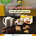 6دمنوش-قارچ-گانودرما