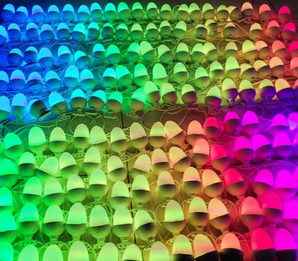 fyf (1)