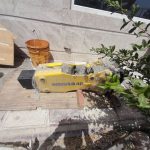 IMG_20230801_094528_492