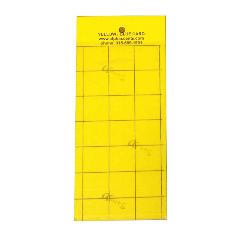 blue_-yellow_sticky_cards_-_evergreen_growers_supply_llc-1