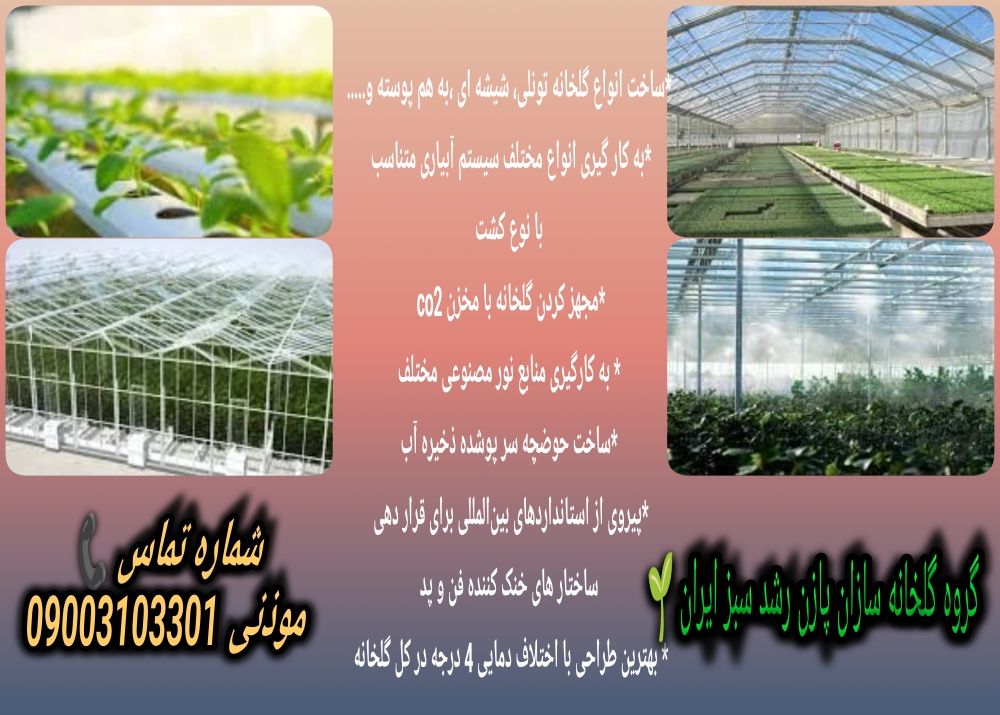 photostudio_1691758538546