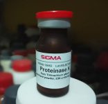 فروش پروتئیناز K و دیگر آزیمهای سلولی در شرکت زیست آزما