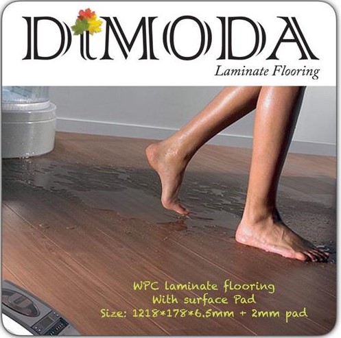 DIMODA