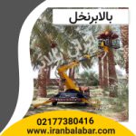 بالابر نخل /بالابر نخلستان