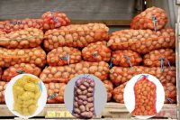 تولید کیسه سیب زمینی محبوب ترین برند بازار