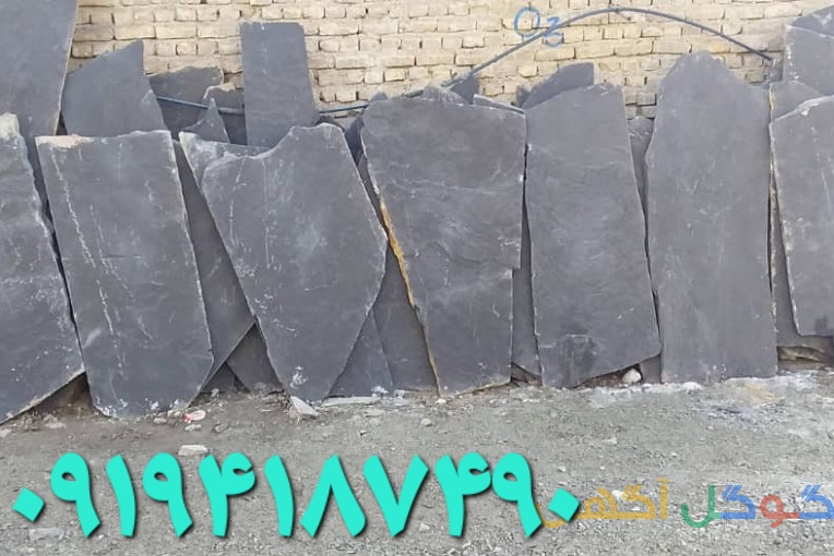1681299910643699c6a5350-main