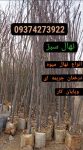 IMG_20231021_142242_910