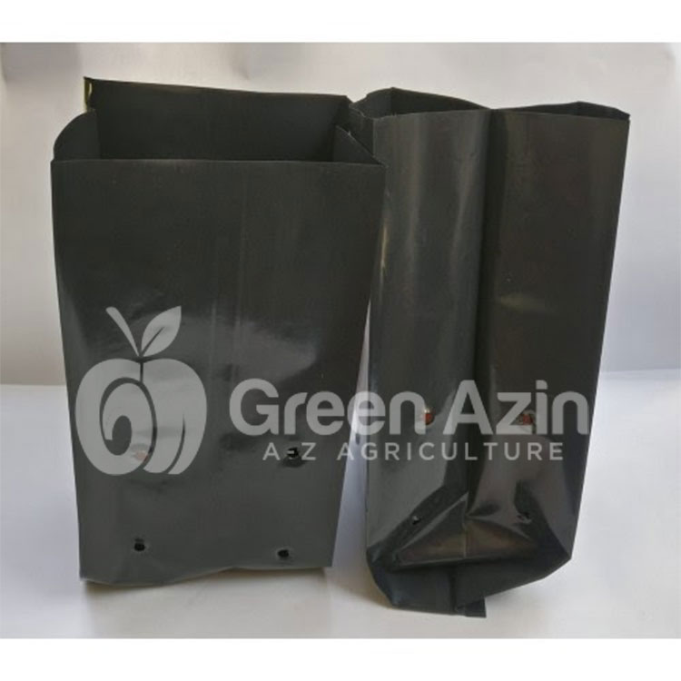 seedling-bag