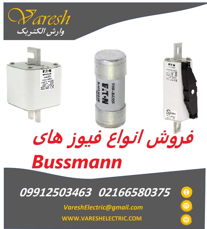 BUSSMANN