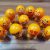 ایموجی فنری جعبه ای کلی و عمده - تصویر2