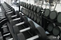 rows-dumbbells-gym_600776-41689