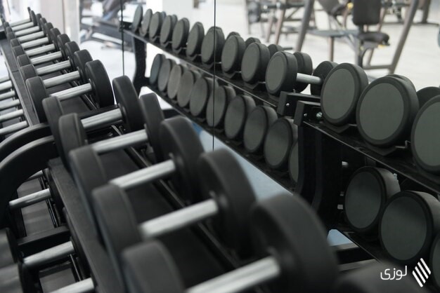 rows-dumbbells-gym_600776-41689