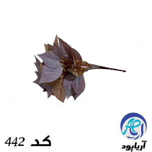 پالونیا-رز-بژ